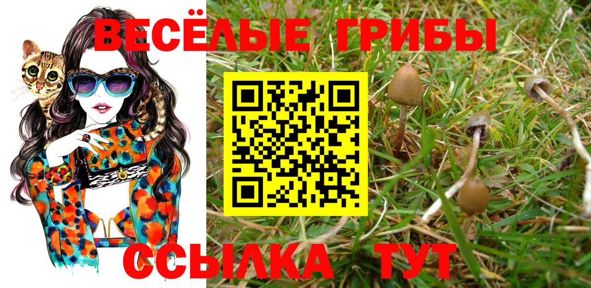 Кумертау  Галлюциногенные грибы MAGIC MUSHROOMS  Вход с VPN 